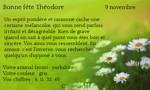 Carte bonne f&ecirc;te Théodore