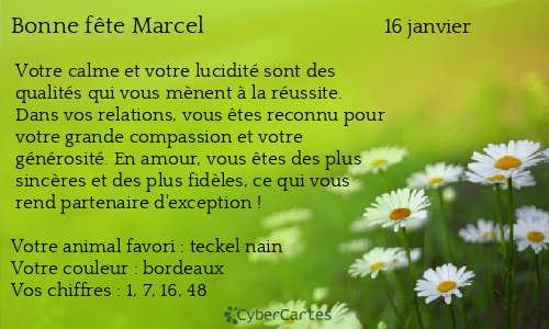 Carte bonne f&ecirc;te Marcel