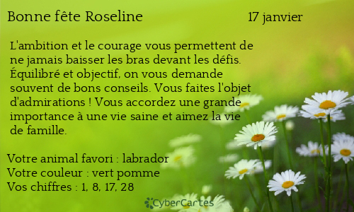 Carte bonne f&ecirc;te Roseline