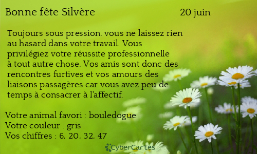 Carte bonne f&ecirc;te Silvère