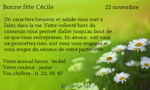 Carte bonne f&ecirc;te Cécile