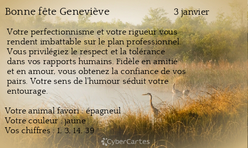 Carte bonne fête Geneviève