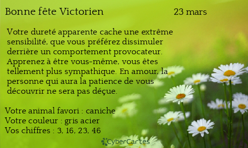 Carte bonne f&ecirc;te Victorien