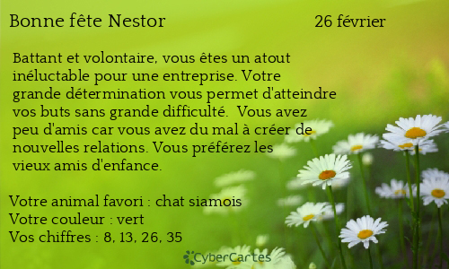 Carte bonne f&ecirc;te Nestor