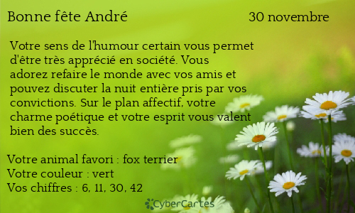 Carte bonne f&ecirc;te André