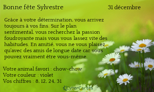 Carte bonne f&ecirc;te Sylvestre
