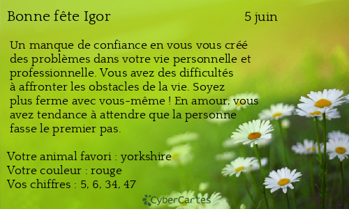 Carte bonne f&ecirc;te Igor
