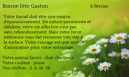 Carte bonne f&ecirc;te Gaston