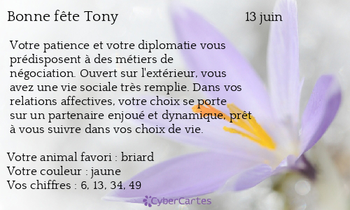 Carte Bonne Fete Tony 13 Juin