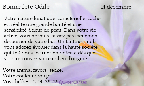 Carte Bonne Fete Odile 14 Decembre