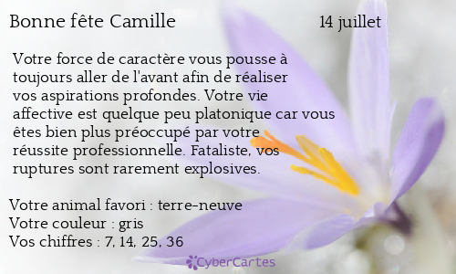 Carte Bonne Fete Camille 14 Juillet