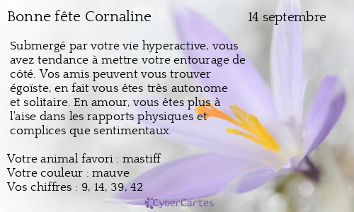 Carte bonne fête Cornaline