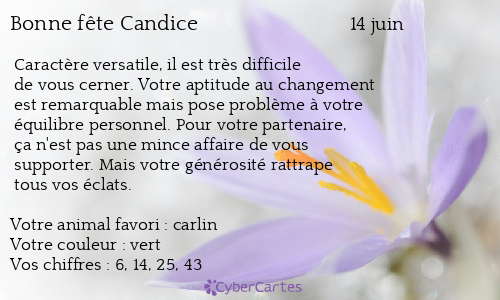 Carte bonne fête Candice