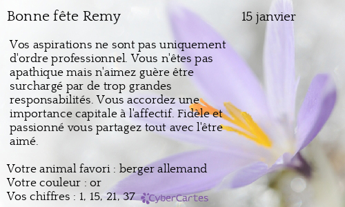 Carte bonne fête Remy