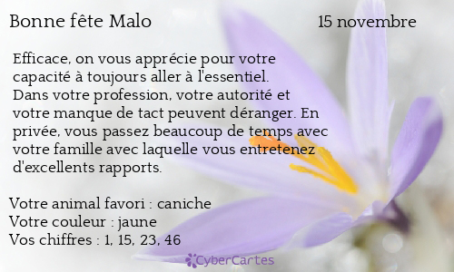 Carte bonne f&ecirc;te Malo