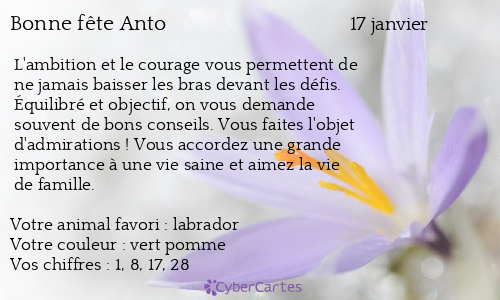 Carte bonne f&ecirc;te Anto