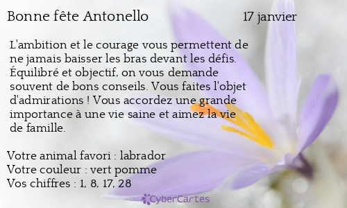 Carte bonne fête Antonello