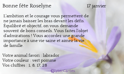Carte Bonne Fete Roselyne 17 Janvier