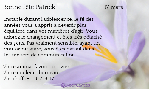 Carte Bonne Fete Patrick 17 Mars