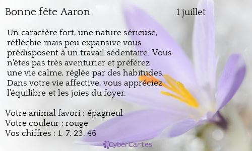 Carte bonne f&ecirc;te Aaron
