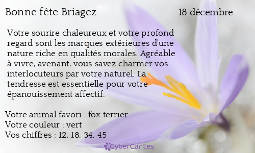 Carte bonne fête Briagez