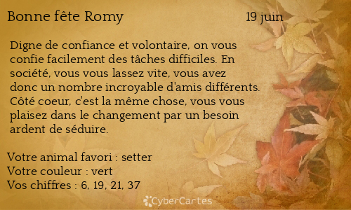 Carte bonne f&ecirc;te Romy