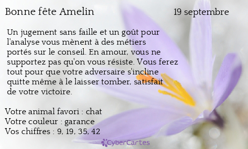 Carte bonne f&ecirc;te Amelin