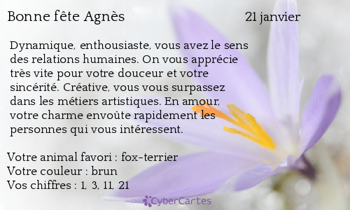 Carte Bonne Fete Agnes 21 Janvier