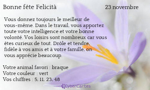 Carte bonne fête Felicità 