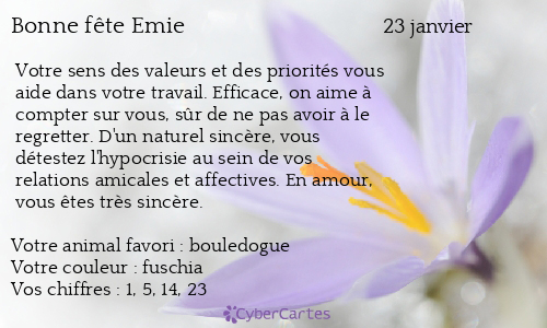 Carte bonne f&ecirc;te Emie