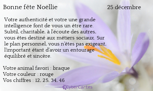 Carte bonne fête Noëllie