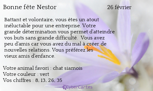 Carte bonne fête Nestor