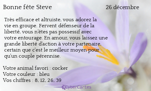 Carte bonne fête Steve