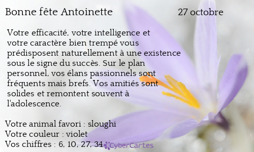 Carte Bonne Fete Antoinette 27 Octobre