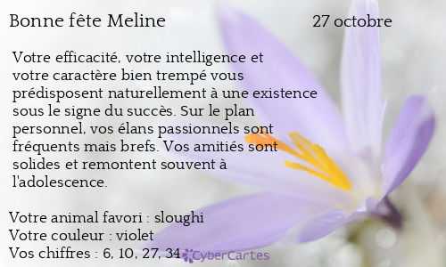 Carte bonne fête Meline