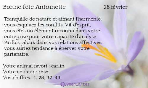 Carte bonne fête Antoinette