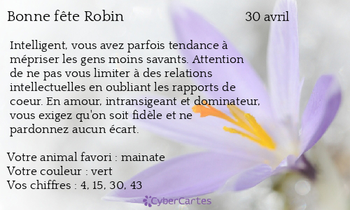 Carte bonne fête Robin