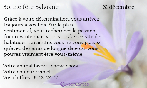 Carte Bonne Fete Sylviane 31 Decembre