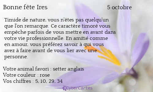 Carte bonne fête Ires