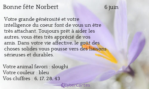 Carte bonne fête Norbert