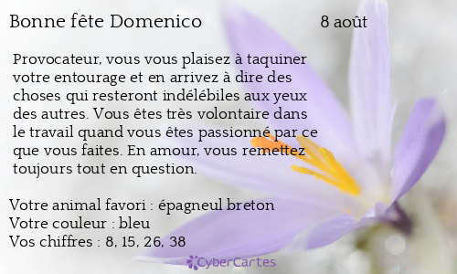 Carte bonne fête Domenico
